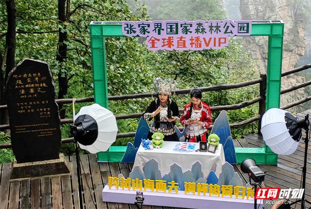 张家界国家森林公园全球网络直播VIP 18小时曝光量2000万