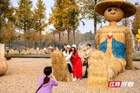 常德是个好地方｜澧县城头山：稻草编奇幻 游客打卡忙图片