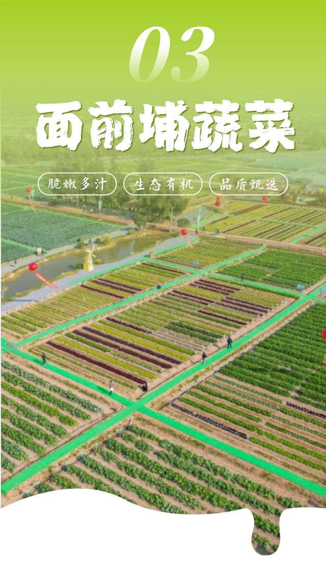 平时不出门，但如果是翔安的果蔬熟了，那我得跑着去！