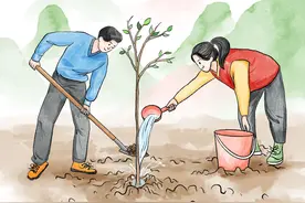 （图表·漫画）植树节丨植树节图片