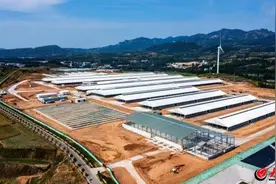 农民丰收节丨潍坊临朐：基地产好奶 “犇”向好日子图片