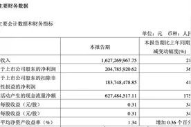 存储芯片需求回暖，兆易创新2024年一季度归母净利润超去年全年图片