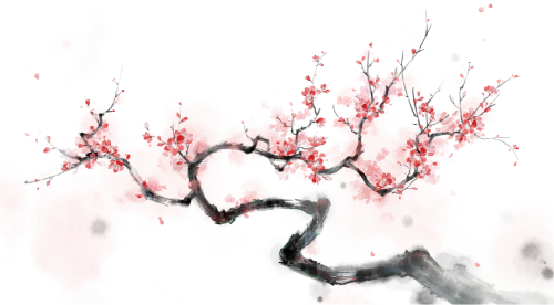 【千秋蒙顶 中国名山】暗香浮动，灯火阑珊｜精灵谷梅花园邀你共赴新春光影宴