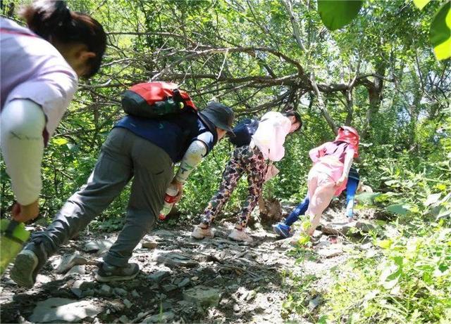 夏日香山红绿相映更宜人