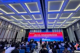 首届全球产业发展与安全论坛在深圳举行图片