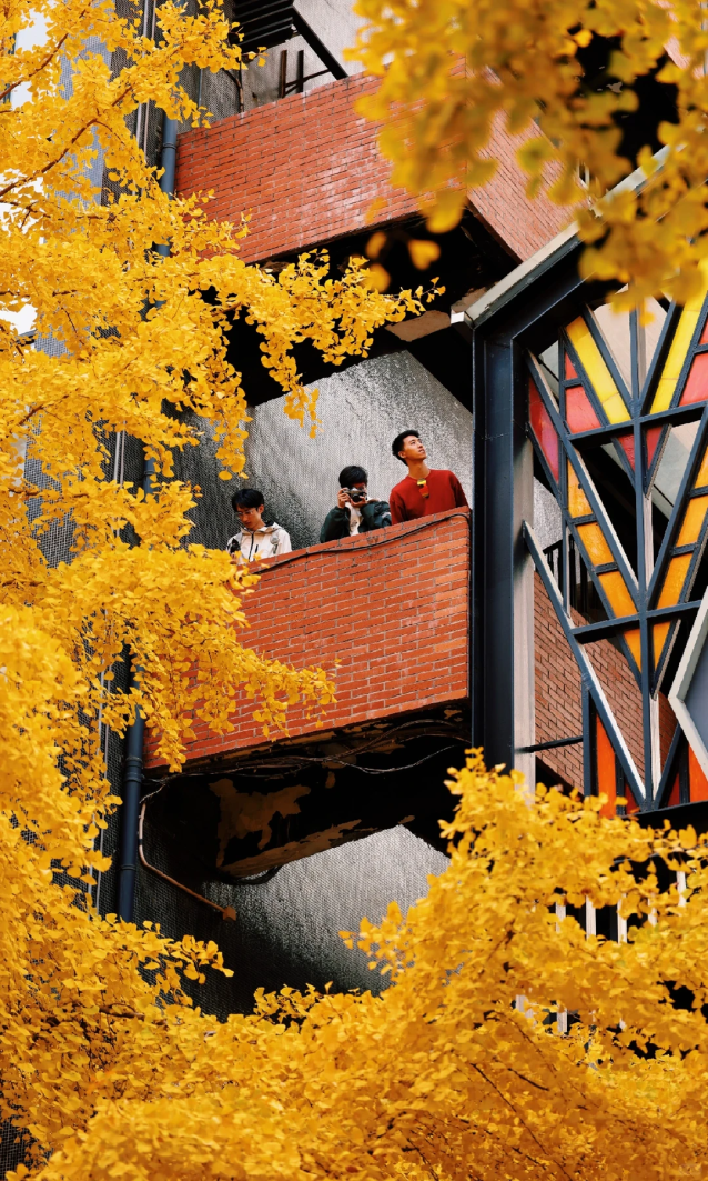 上海市中心“黄金大道”已上线！还有绝美银杏露台→