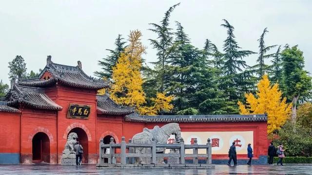 呀！洛阳的秋天落在地上啦！