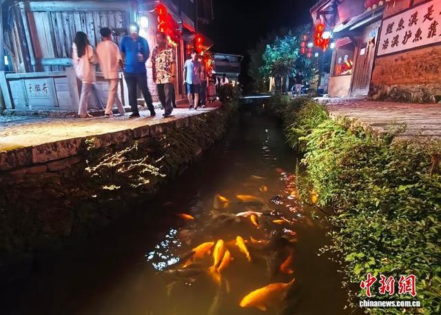 探访福建周宁鲤鱼溪