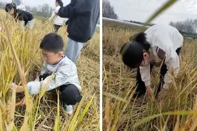 淮安市实验小学：丰收地里“趣”研学图片