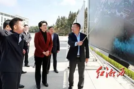 陈华调研吉首城区学校医院建设工作图片