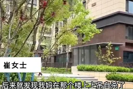 保洁疑因扔掉业主限量鞋被索赔自杀，谁该负责？图片