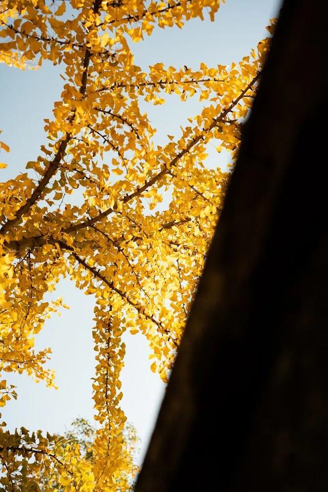 日子寻常，门前的风光不重样：记录湖南冬日限定的温柔