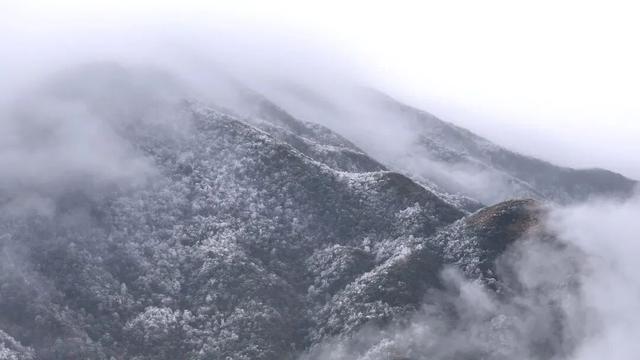 昭平四方顶变身“冰雪仙境”，雾凇美景惊艳上线！