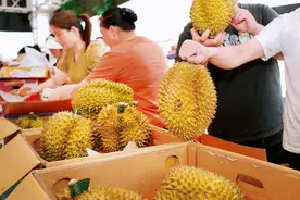 榴莲控集合！最便宜的29.8元/斤，已在广州大量上市，预计本月中下旬还会明显降价图片