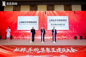 虹桥投资并购联盟成立 助力虹桥并购集聚区建设图片