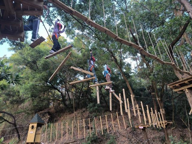 风穿林叶绳渡树间 龙岗园山这片营地邀您体验“飞檐走壁”