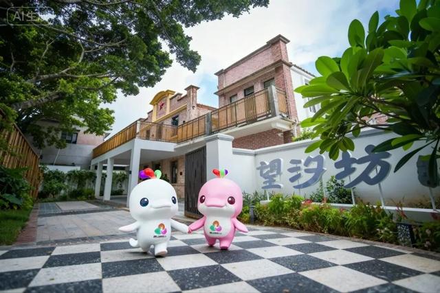 萌物来袭，“喜洋洋”和“乐融融”玩转望牛墩！