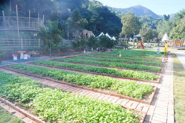 露营地+1，就在闽侯这个地方