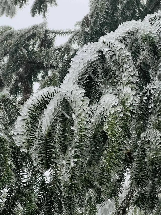 多地下雪！广西限定版“冰雪世界”已上线