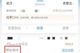 大武汉一日丨可免费坐高铁！很多人还不知道图片