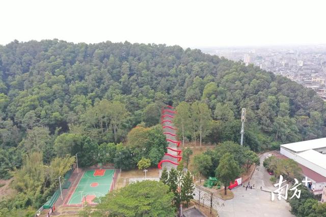 重阳登高，阳东哪座山最让你心驰神往？