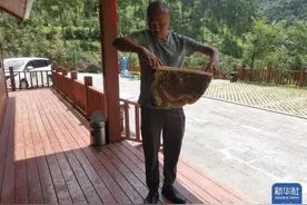 新时代中国调研行·长江篇｜贵州：拉动“转绿链条”实现生态惠民图片