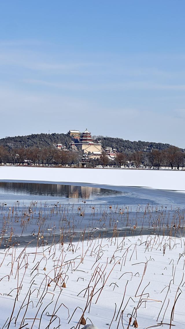 雪落颐和园：白雪镶金顶
