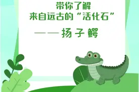 带你了解来自远古的“活化石”——扬子鳄图片