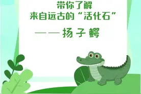 带你了解来自远古的“活化石”——扬子鳄图片