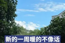 新的一周“暖的不像话”，长沙将直冲20℃以上图片