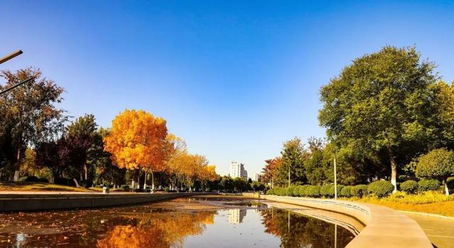 今日立冬！三个仪式解锁肥城初冬的终极浪漫！