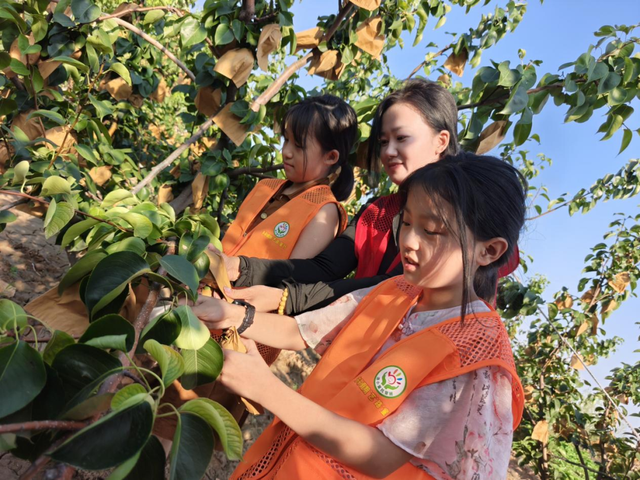 【文旅瀍河】爸妈乐得清闲，孩子撒欢一夏！瀍河超适合这样带娃！