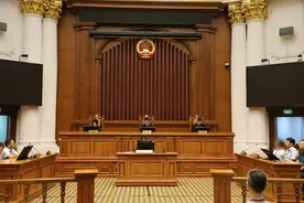 “男子被流浪猫绊倒”案再审宣判，投喂者从担全责到担20%责任图片