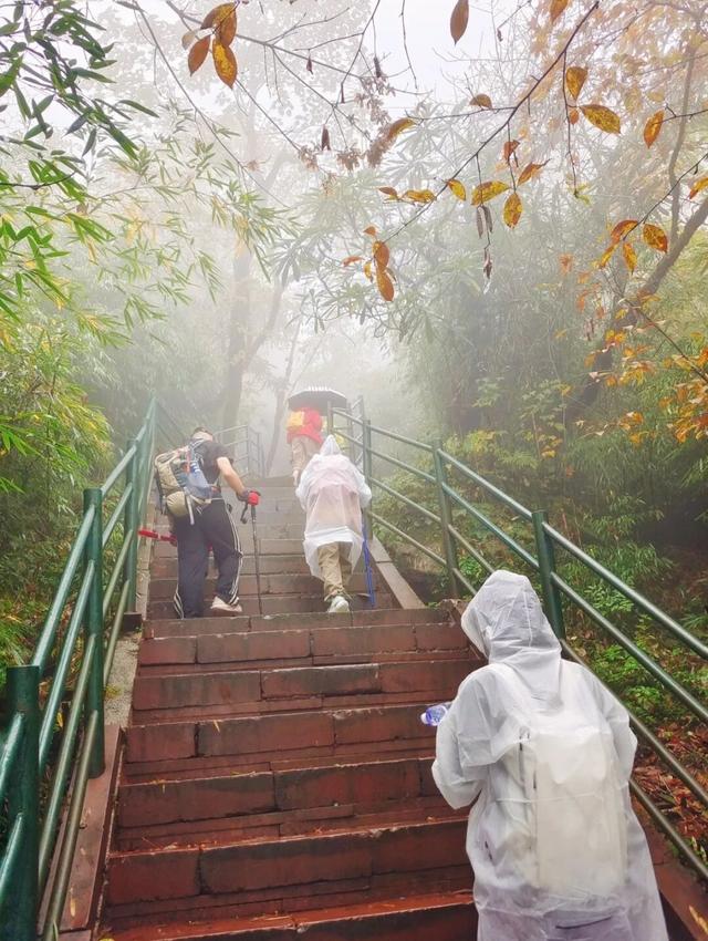 秋天徒步去哪儿？必须来趟【免门票】的瓦屋山！