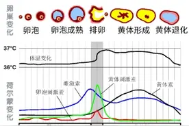 月经后出血是怎么回事？医生解答图片