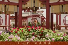 何以“国色”引“芳华”图片