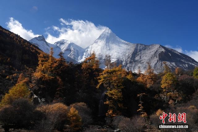 稻城亚丁秋色美