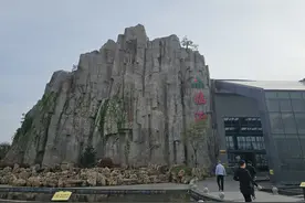 品美食、购好物、看文化 山东高速服务区打造多元消费场景图片