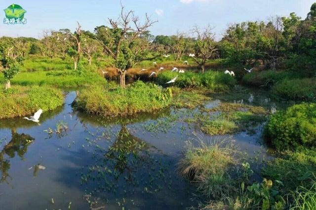 《珠江》里，藏着这么多广州海珠“宝藏”