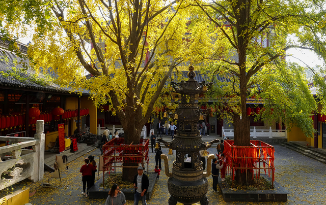 镇江，你变了！