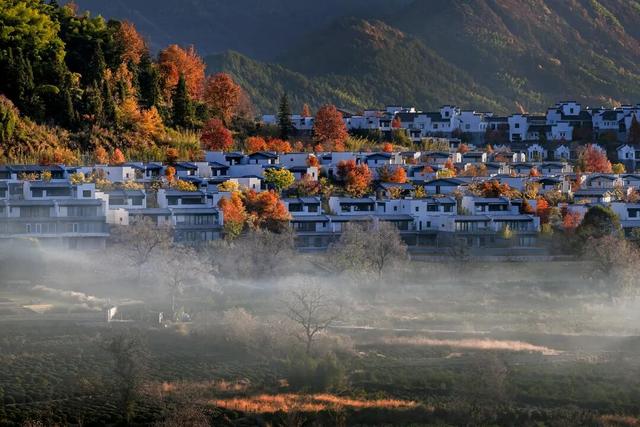 追逐秋色三千里：从北疆到徽州