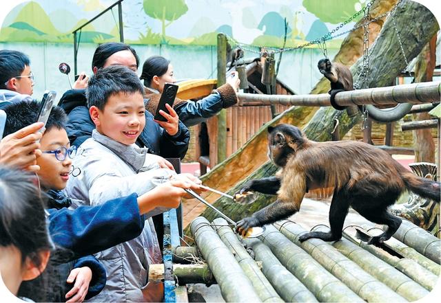 深化“文旅+”融合 首个秋假雅安很“火热”