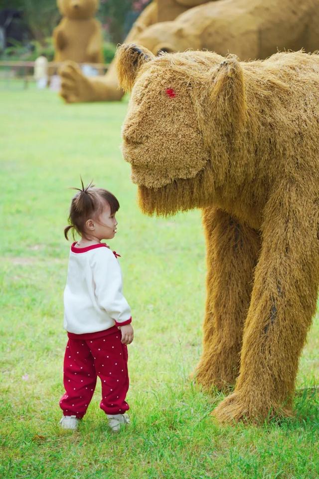 门票免费送！里水百亩花海上新！拍照遛娃圣地→
