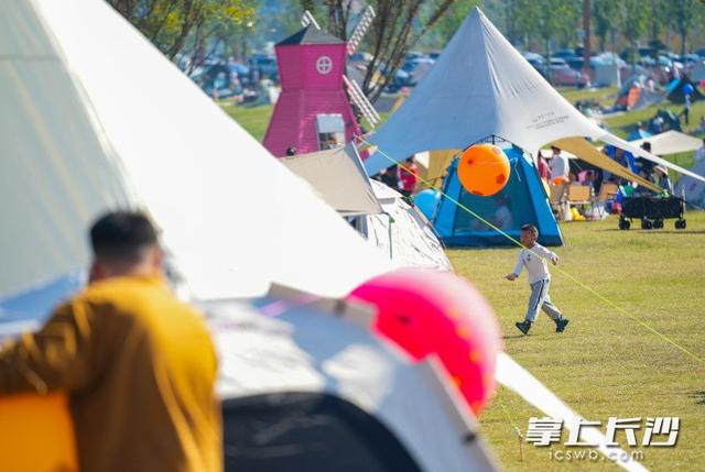 来大泽湖！乐享周末好时光｜组图