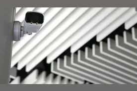 监控曝光！古生物标本被掰断“肋骨” 博物馆最新发声图片