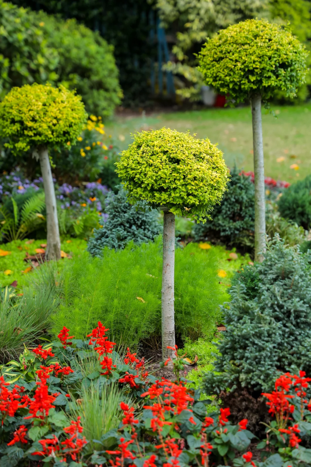 上海这里变身花花世界！38组绝美花境作品免费打卡→