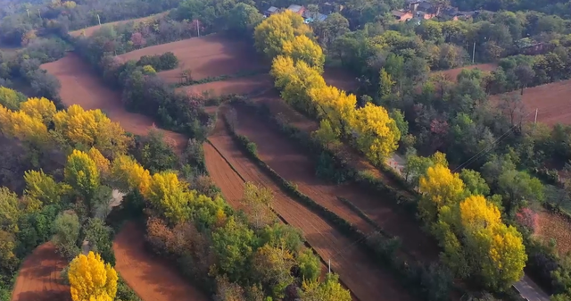 逃离城市！在山野里邂逅最鲜活的色彩盛宴→