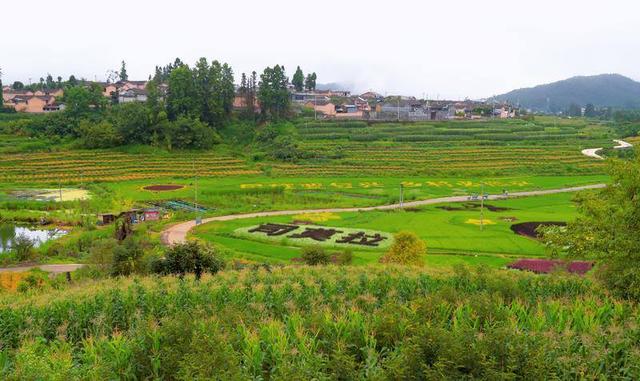 全域农文旅融合火出圈 腾冲司莫拉暑期接待游客逾10万人次