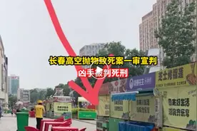 死刑！“长春高空抛物案”判了！被告人6天十余次故意砸人，2小时扔下8块砖头……图片