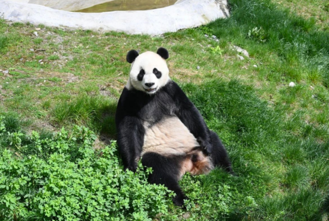先预约，再出行！九寨沟县还有这些小众美景等您来清凉避暑！